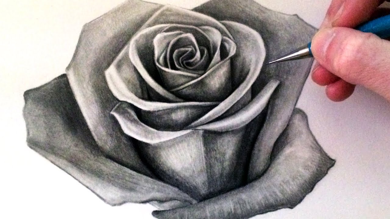 1280x720 How To Draw A Rose - Realistic Rose Drawing
