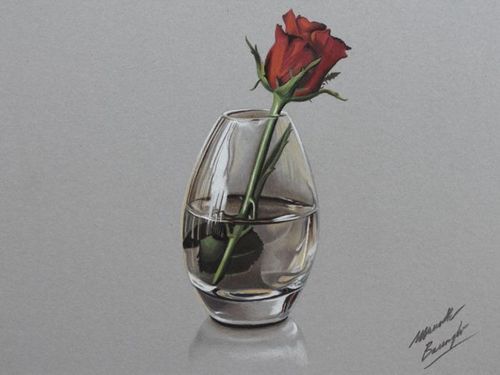 500x375 Realistic Rose Flower Drawing Discovered - Realistic Rose Drawing