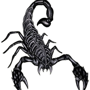 375x375 scorpion tattoo meaning - Realistic Scorpion Drawing