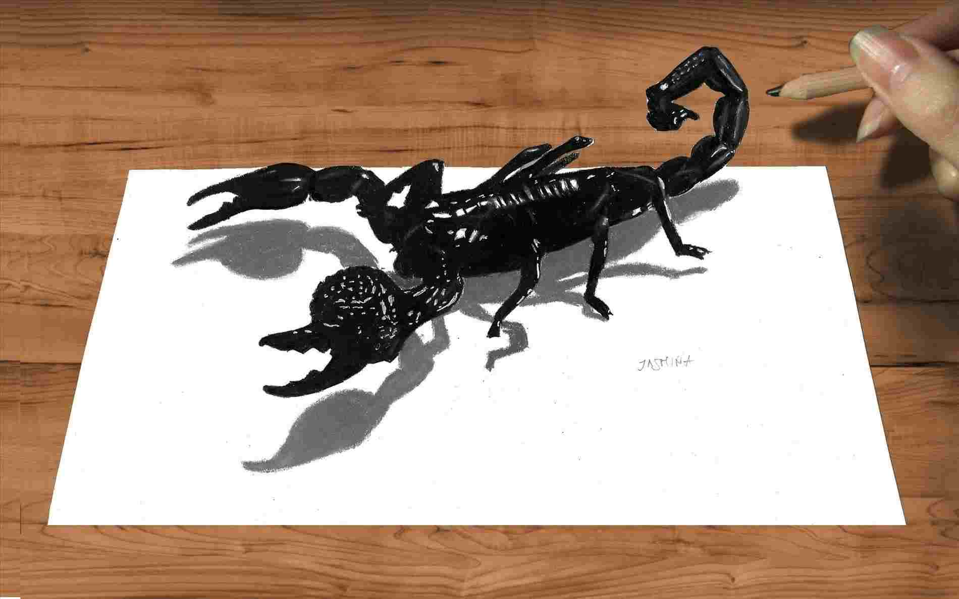 1900x1187 d realistic pencil drawings pencil drawing emperor scorpion how - Realistic Scorpion Drawing