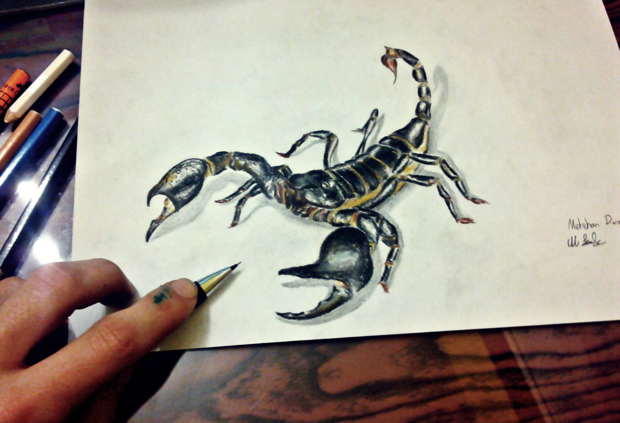 Realistic Scorpion Drawing at Explore collection