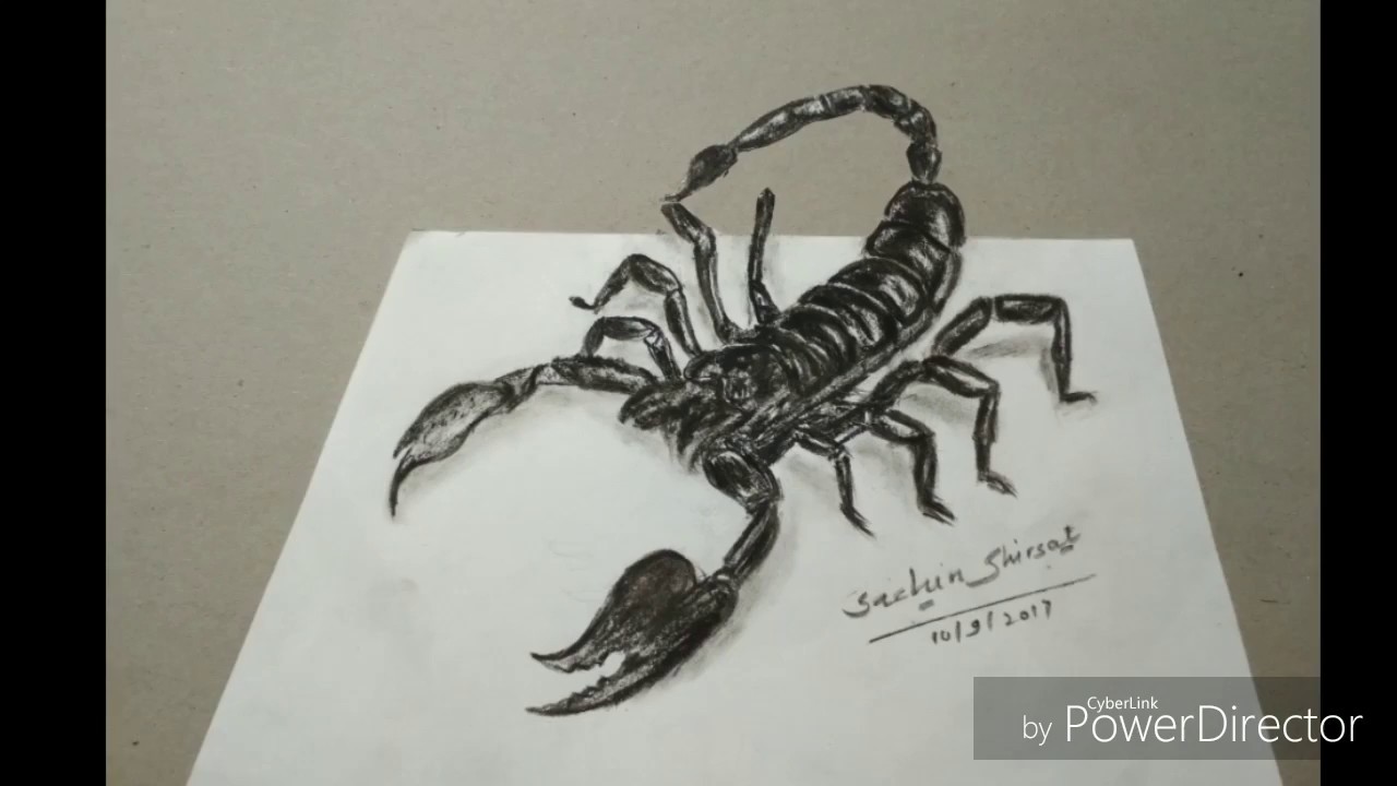 Realistic Scorpion Drawing at Explore collection