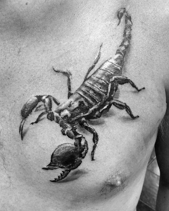 560x700 scorpion tattoo designs for men - Realistic Scorpion Drawing