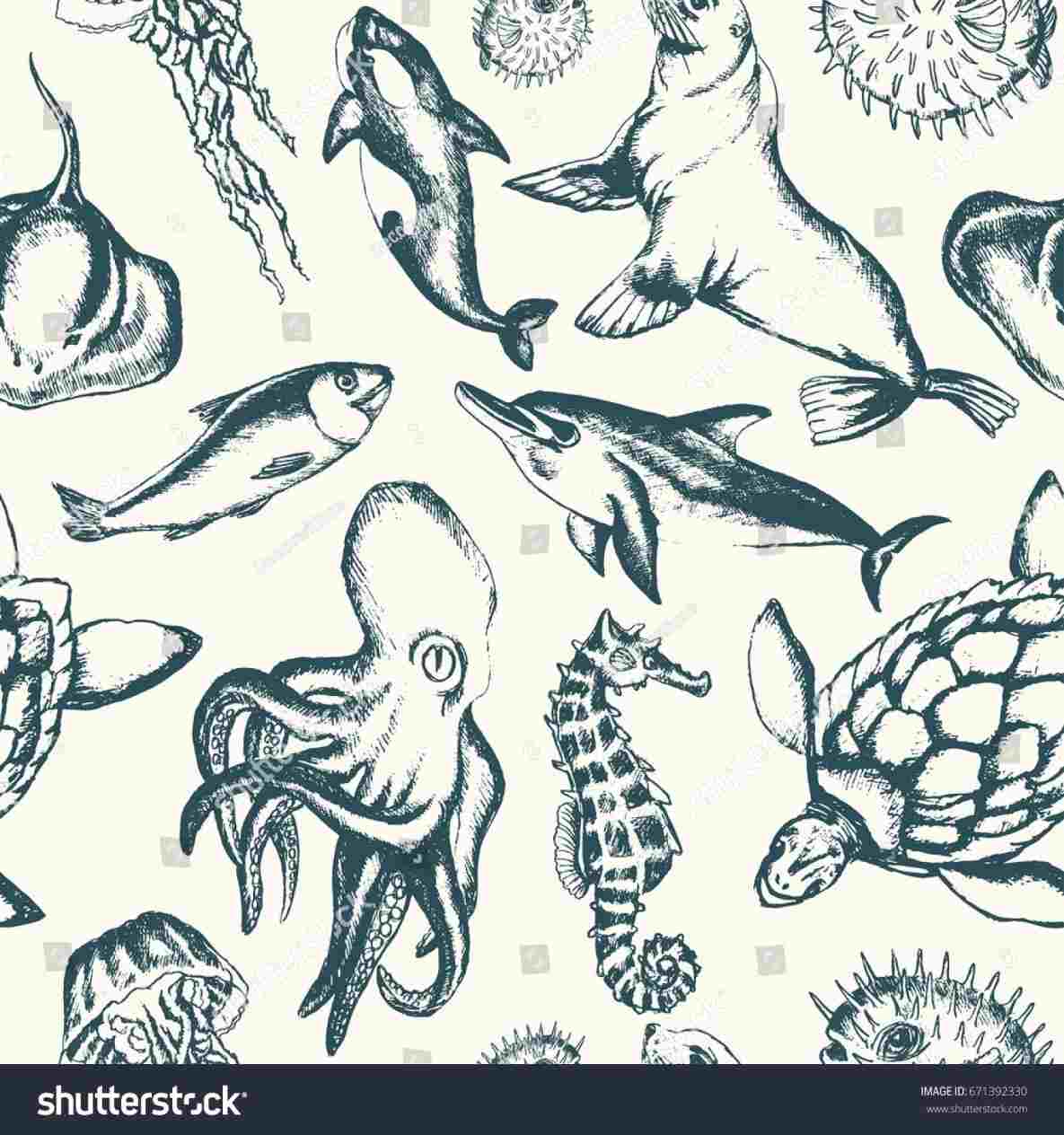 1185x1264 realistic sea animal drawing to draw a sea turtle life drawing - Realistic Sea Turtle Drawing