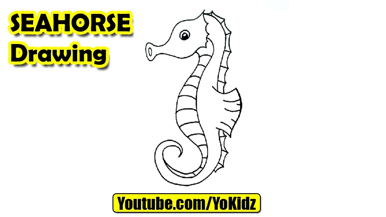 1280x720 how to draw a seahorse - Realistic Seahorse Drawing