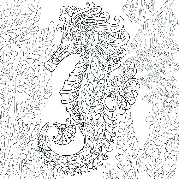 Realistic Seahorse Drawing at PaintingValley.com | Explore collection