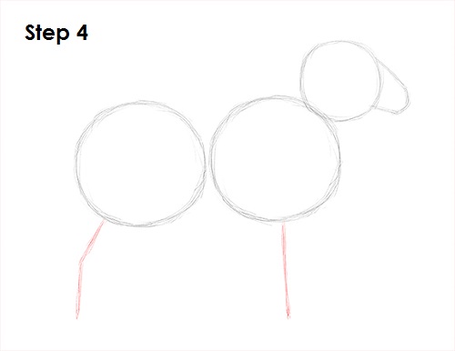 500x386 How To Draw A Sheep - Realistic Sheep Drawing