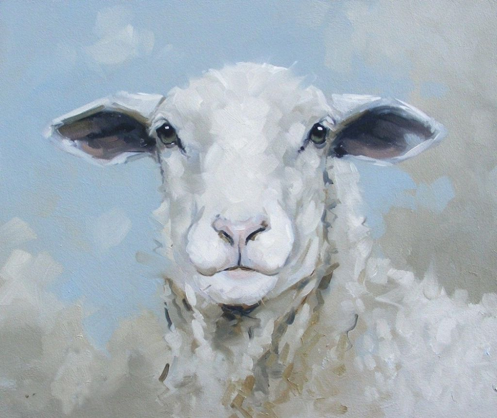 Realistic Sheep Drawing at Explore collection of