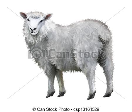 450x381 Realistic Sheep Clipart Great Free Clipart, Silhouette, Coloring - Realistic Sheep Drawing