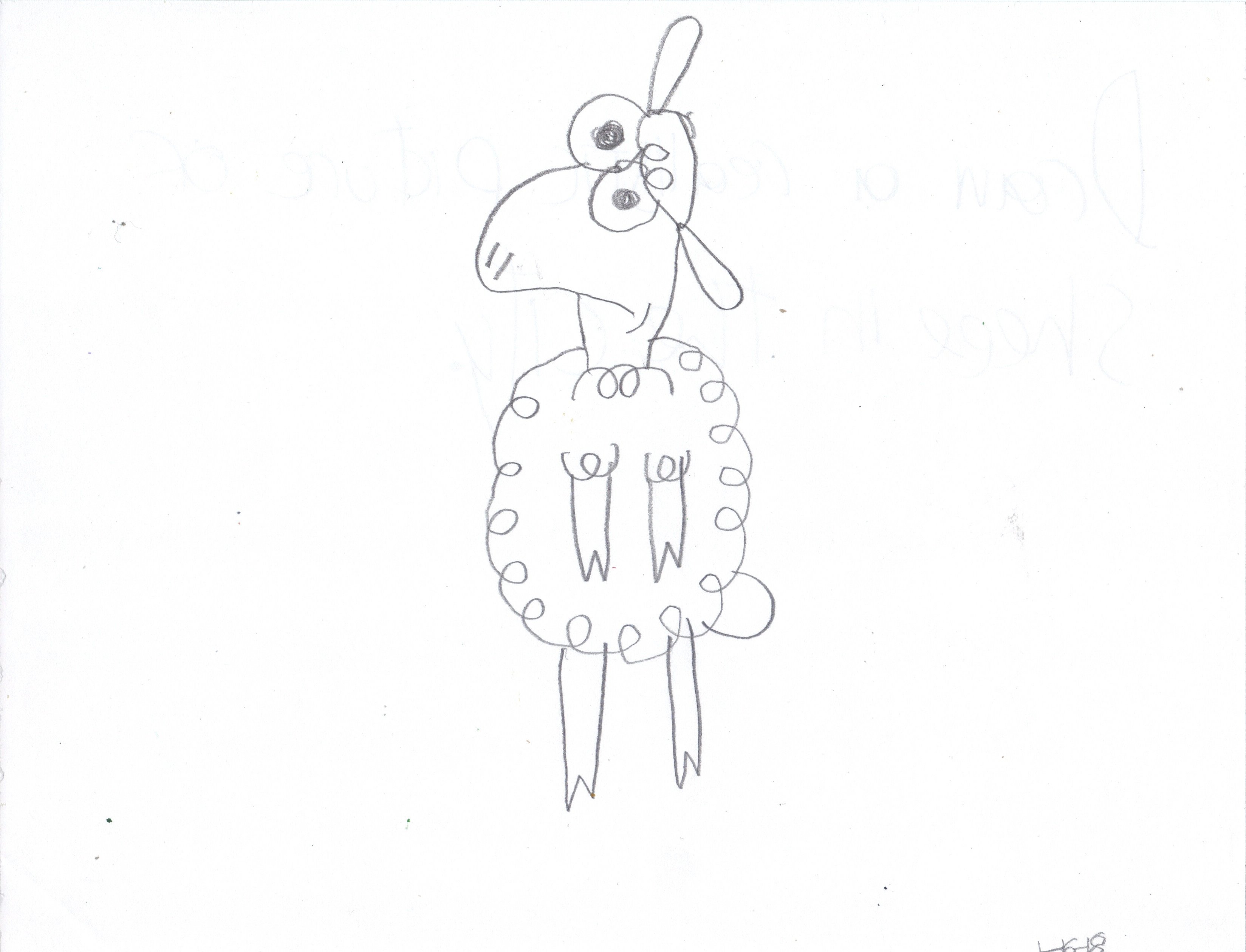 3297x2519 Sheep - Realistic Sheep Drawing