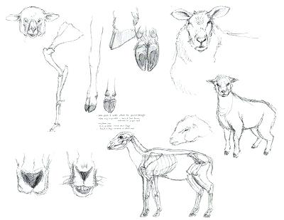400x309 how to draw a realistic cow and final cow drawing to create - Realistic Sheep Drawing