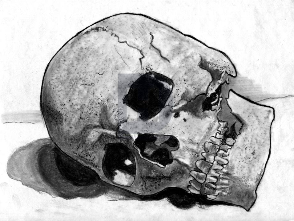 955x720 How To Draw A Realistic Skull, Human Skull, Step - Realistic Skeleton Drawing