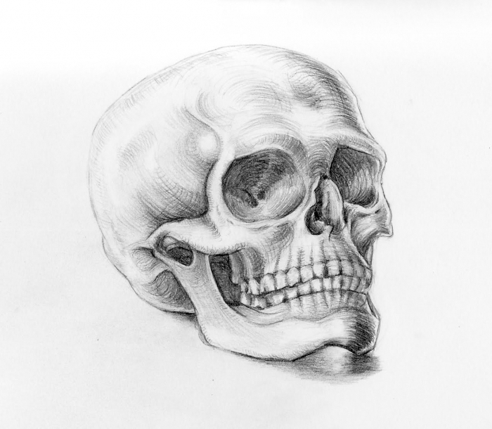700x610 How To Draw A Skull Online Drawing Lessons - Realistic Skeleton Drawing