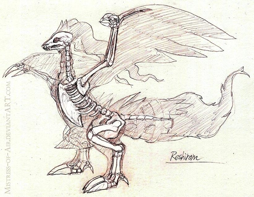 821x637 Realistic Skeleton Study - Realistic Skeleton Drawing