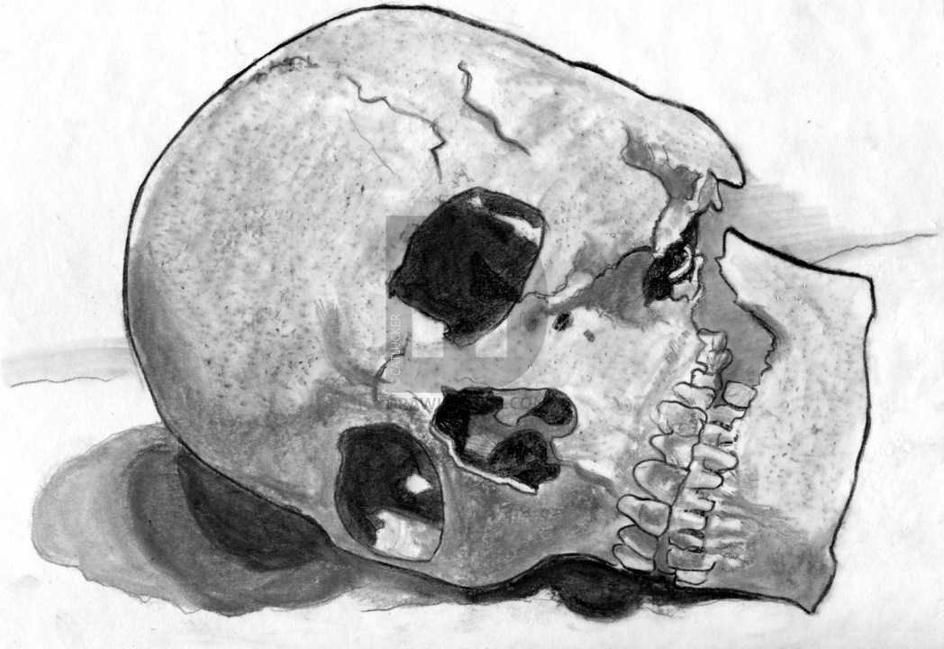 1048x720 How To Draw A Realistic Skull, Human Skull, Step - Realistic Skull Drawing
