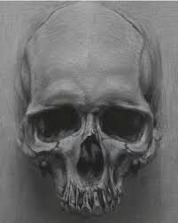201x251 Image Result For Realistic Skull Drawing Skullz Skull Sketch - Realistic Skull Drawing
