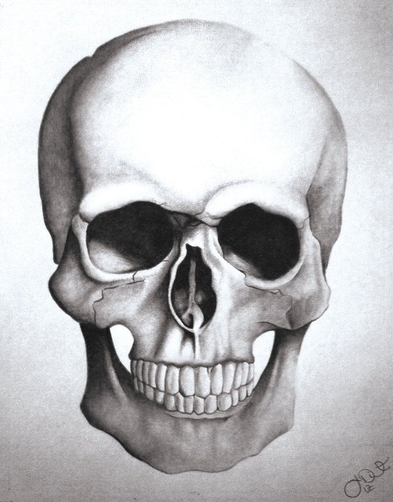791x1011 My Skull Drawing Drawing Paper Graphite Pencils More Tattoos - Realistic Skull Drawing