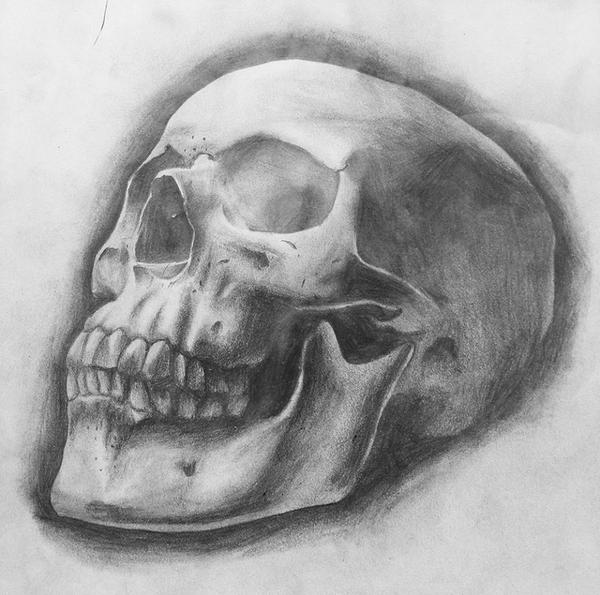 600x595 My First Try On Realistic Skull Drawing - Realistic Skull Drawing