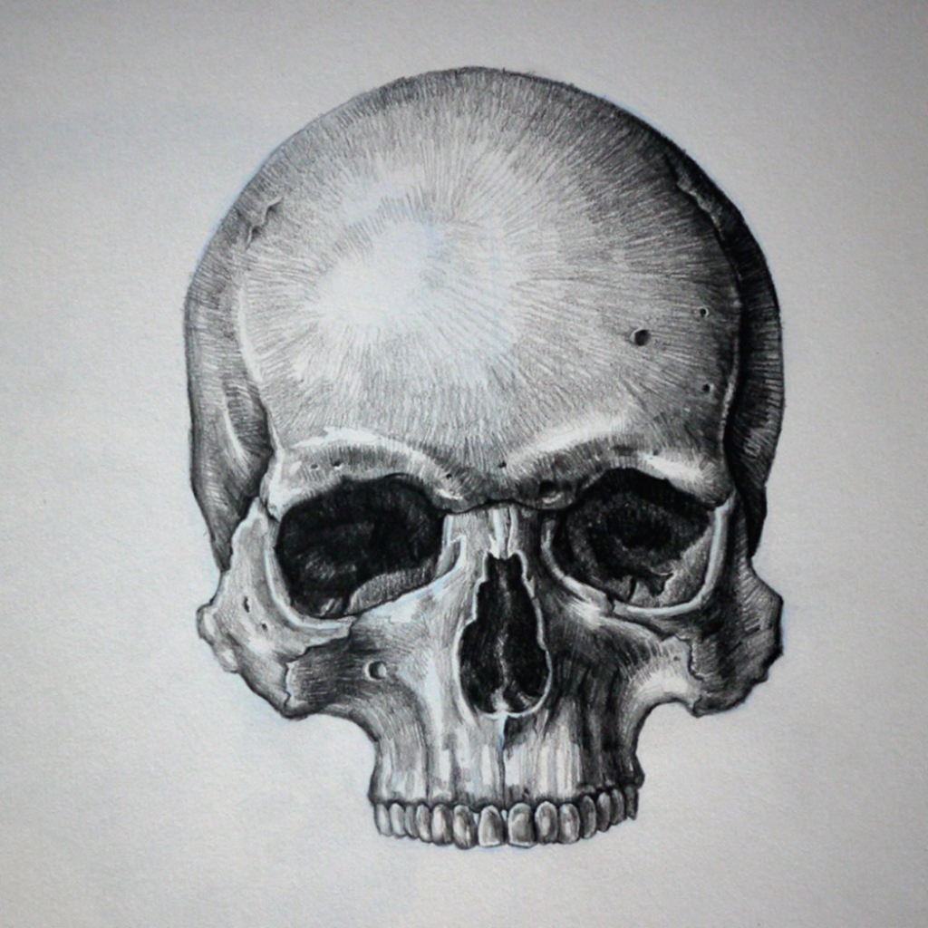 Cartoon Human Skull Sketch Drawing for Adult
