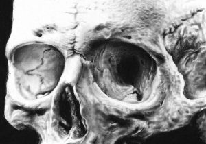 300x210 Realistic Skeleton Sketch Draw A Skull - Realistic Skull Drawing