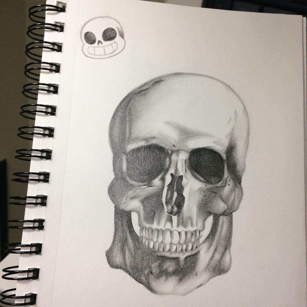 1024x1024 Realistic Skull Amino - Realistic Skull Drawing