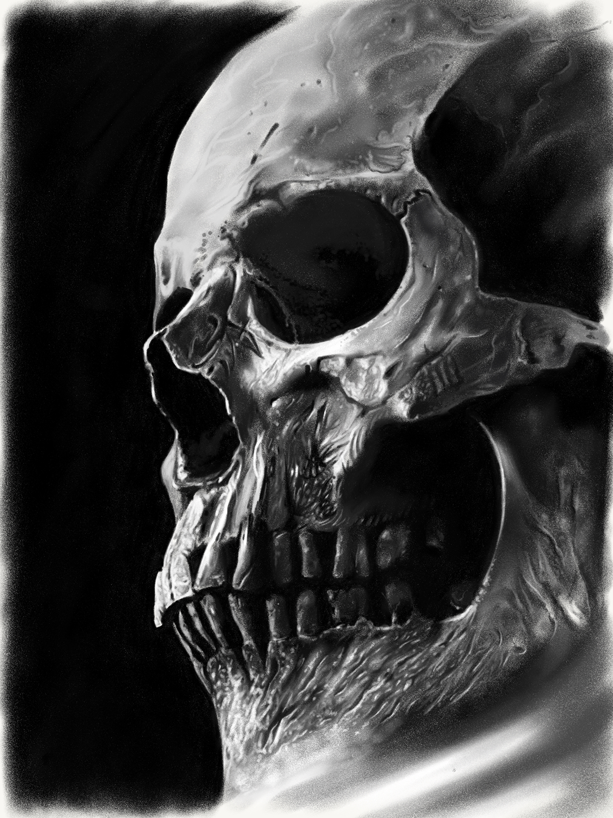 1200x1601 Realistic Contrasting Skull On Behance - Realistic Skull Drawing
