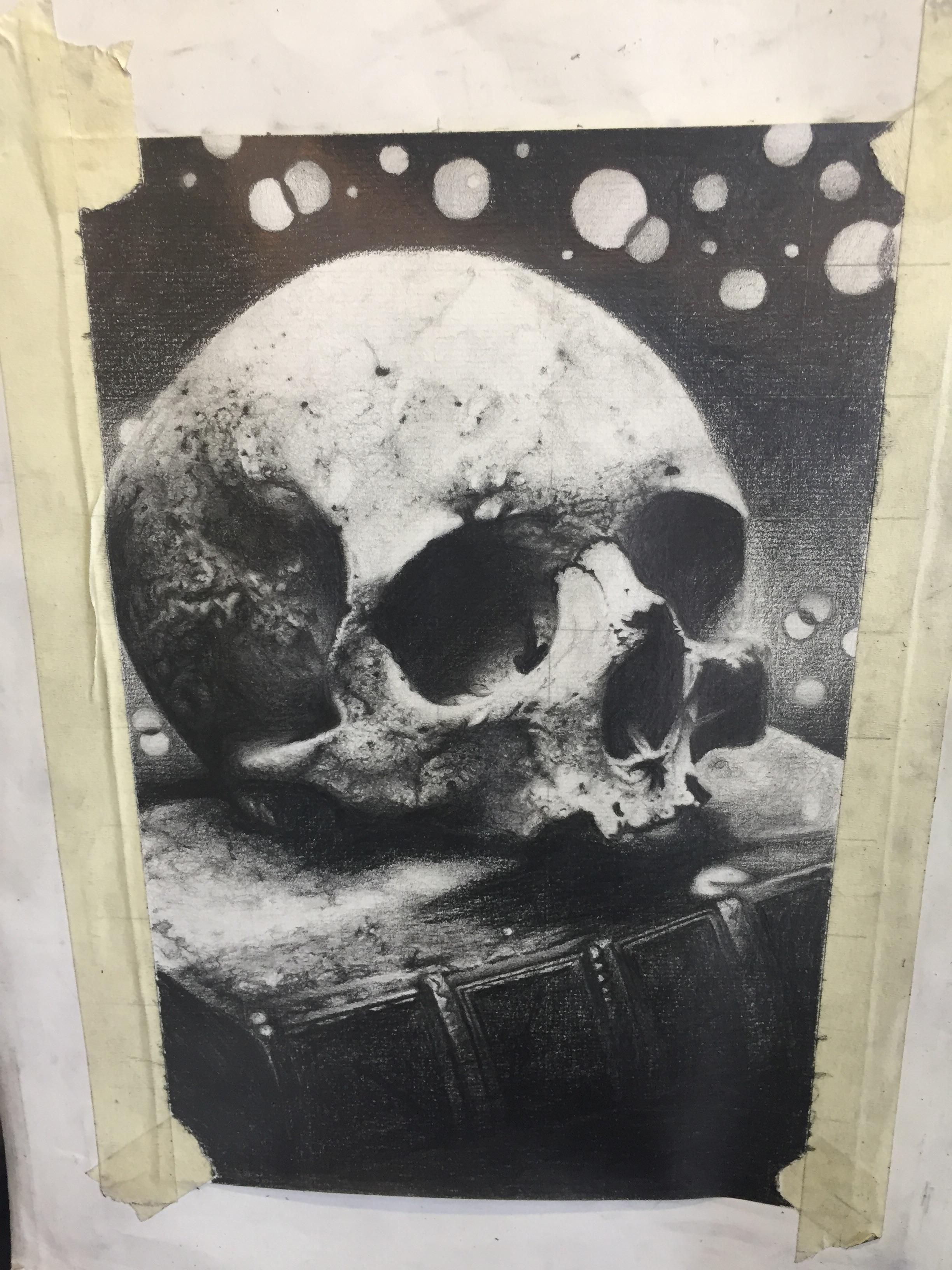 2448x3264 Realistic Skull Drawing - Realistic Skull Drawing