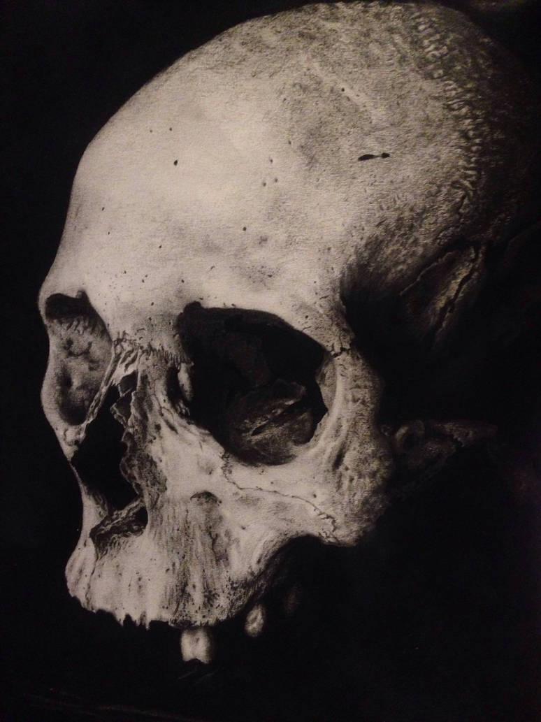 774x1033 Realistic Skull Drawing - Realistic Skull Drawing