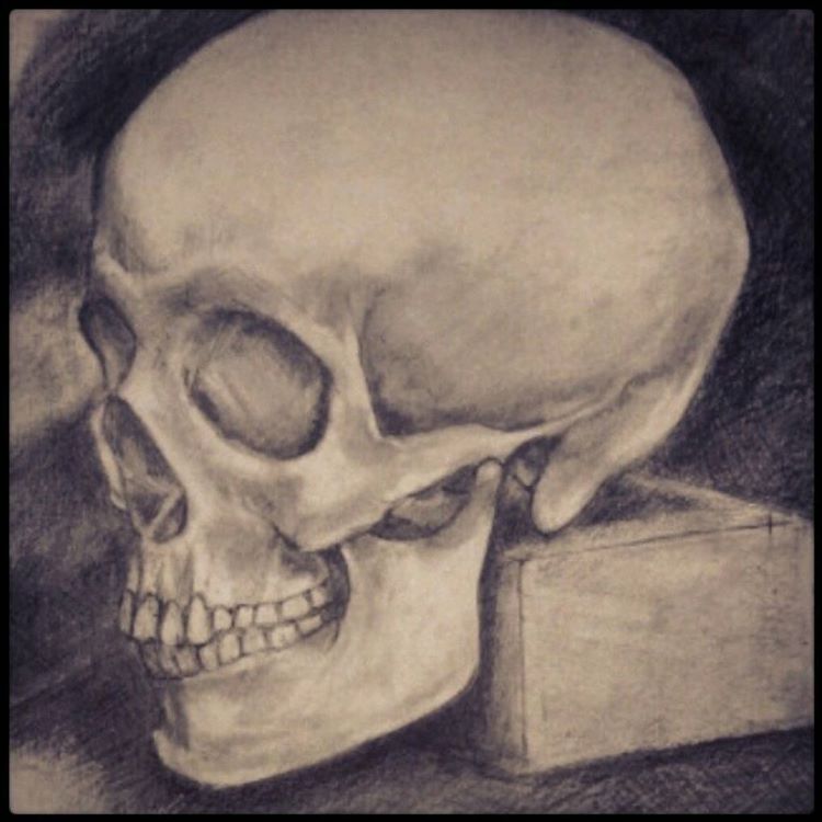 750x750 Skull Drawings Sketches For Art Inspiration - Realistic Skull Drawing