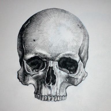 384x384 Realistic Skull Drawing - Realistic Skull Drawing