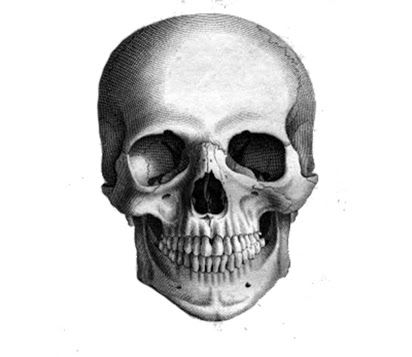 412x357 Realistic Skull Drawing - Realistic Skull Drawing