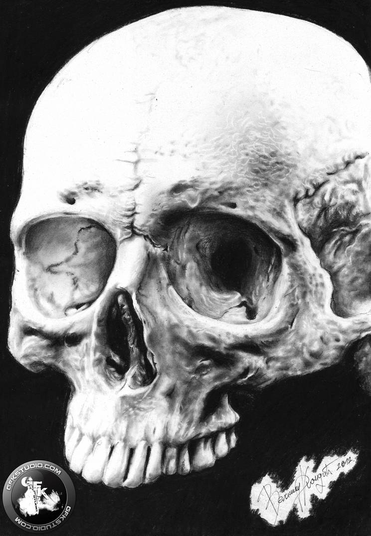744x1074 Realistic Skull Drawing - Realistic Skull Drawing