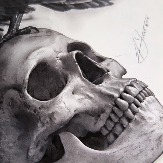 545x545 Design Stack A Blog About Art, Design And Architecture - Realistic Skull Drawing