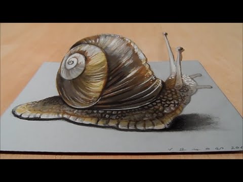 480x360 How To Draw Snail - Realistic Snail Drawing