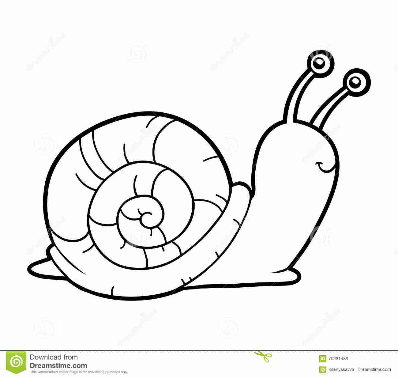 1300x1234 Snail Picture To Colour Realistic Drawing At Getdrawings Free - Realistic Snail Drawing