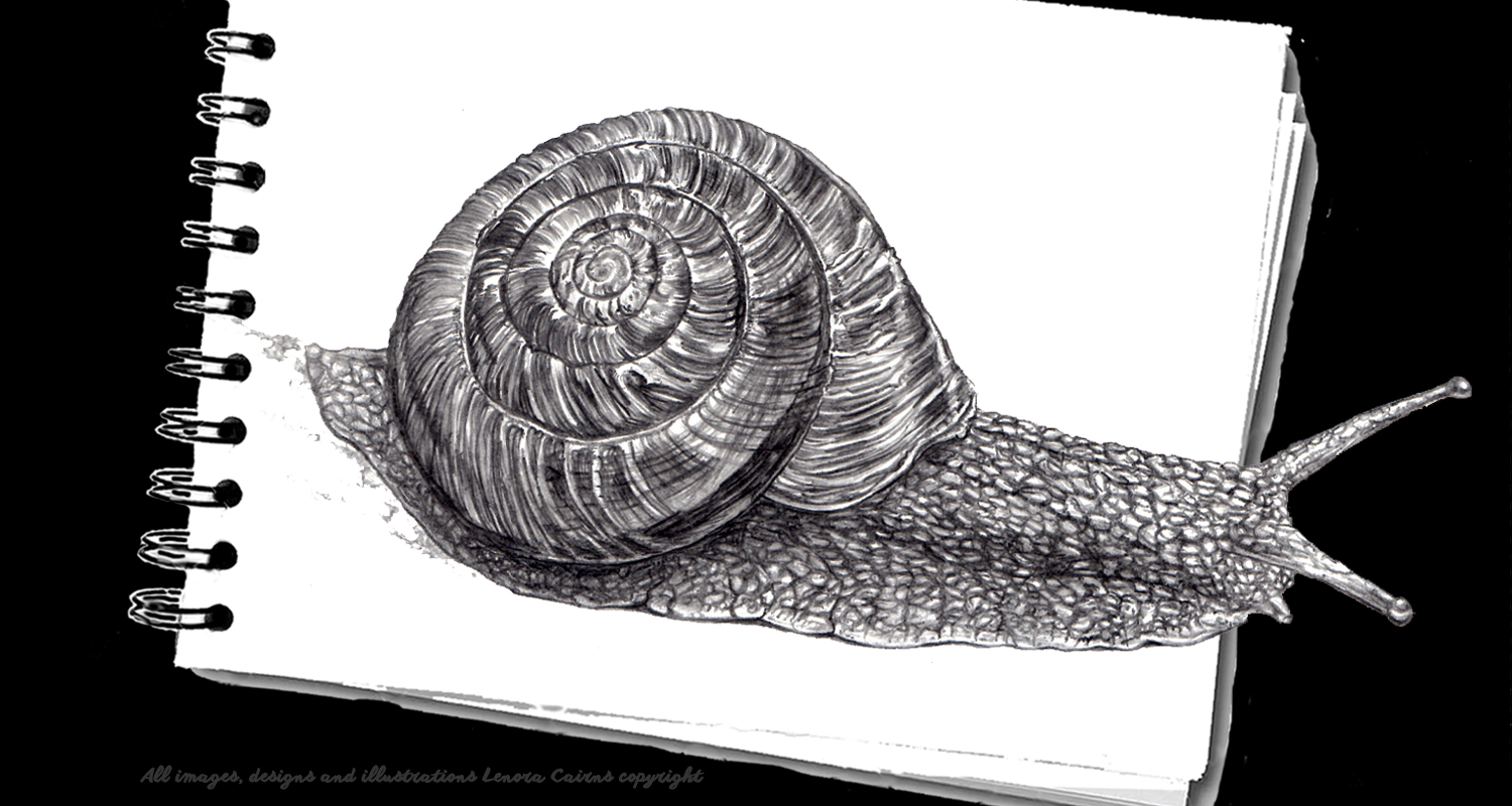 Realistic Snail Drawing at Explore collection of