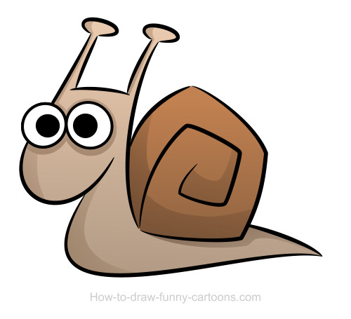 500x455 Snail Drawings - Realistic Snail Drawing