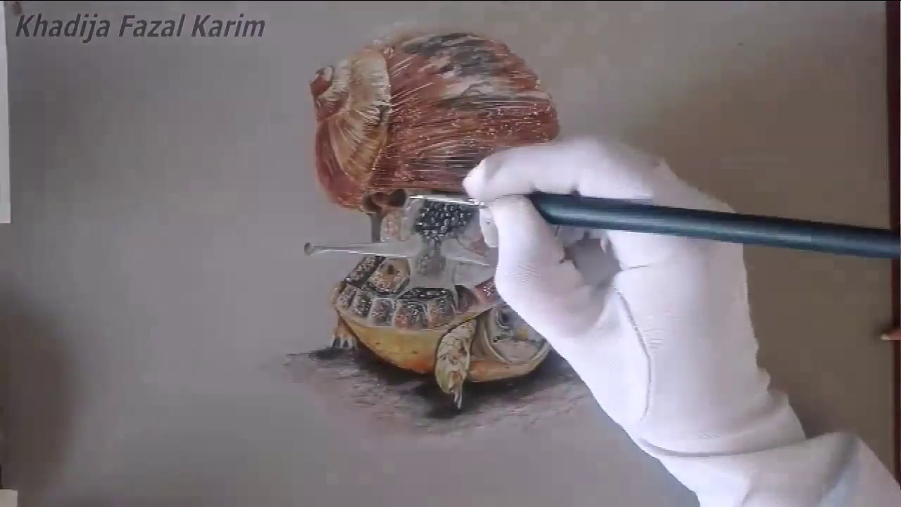 1280x720 tortoise and snail realistic speed drawing of a wildlife story - Realistic Snail Drawing