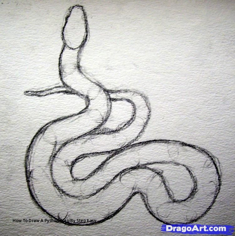 750x751 How To Draw A Python Step - Realistic Snake Drawing