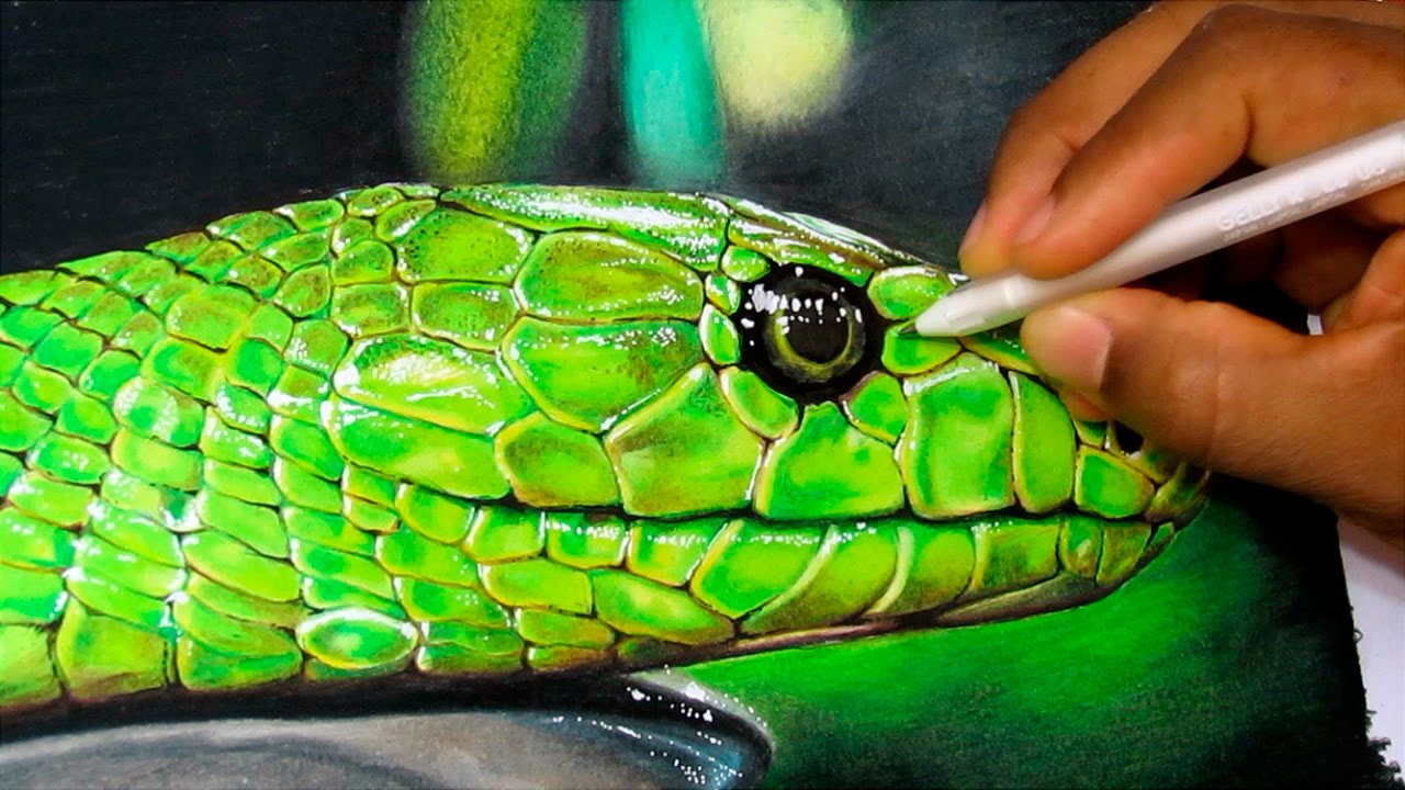 1280x720 How To Draw A Realistic Snake Time Lapse - Realistic Snake Drawing