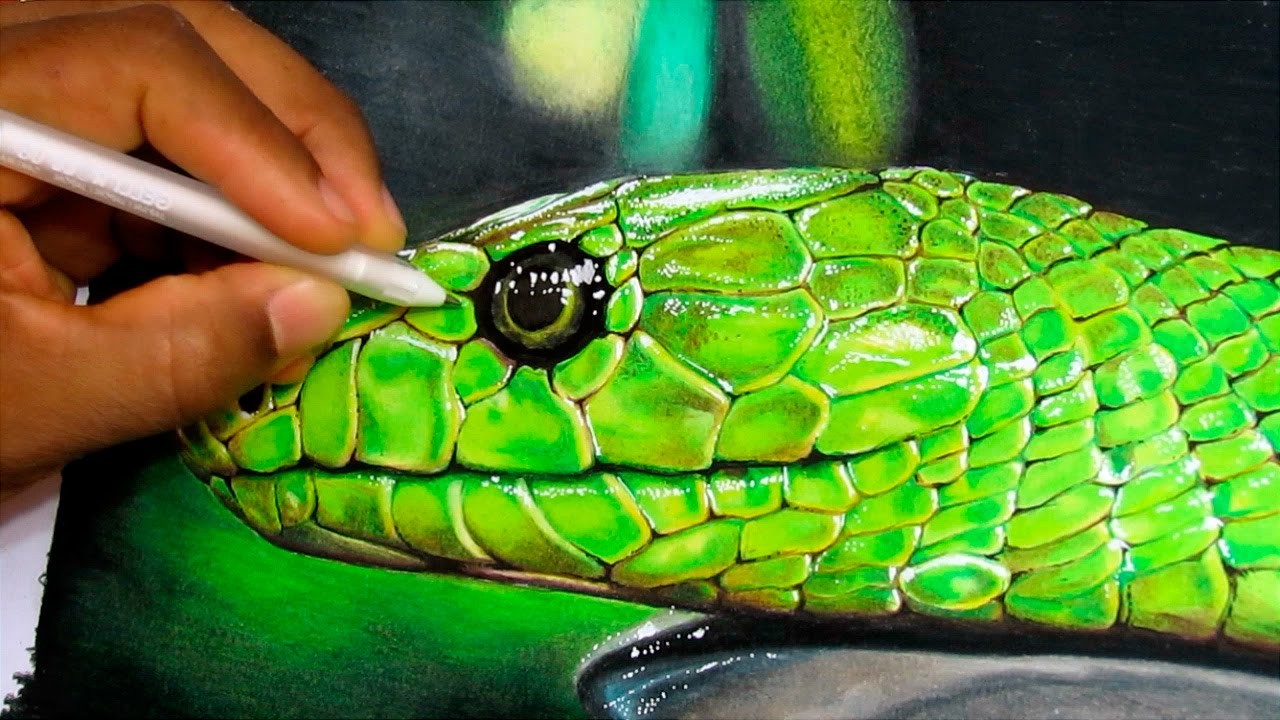 1280x720 Realistic Snake Drawing Color - Realistic Snake Drawing