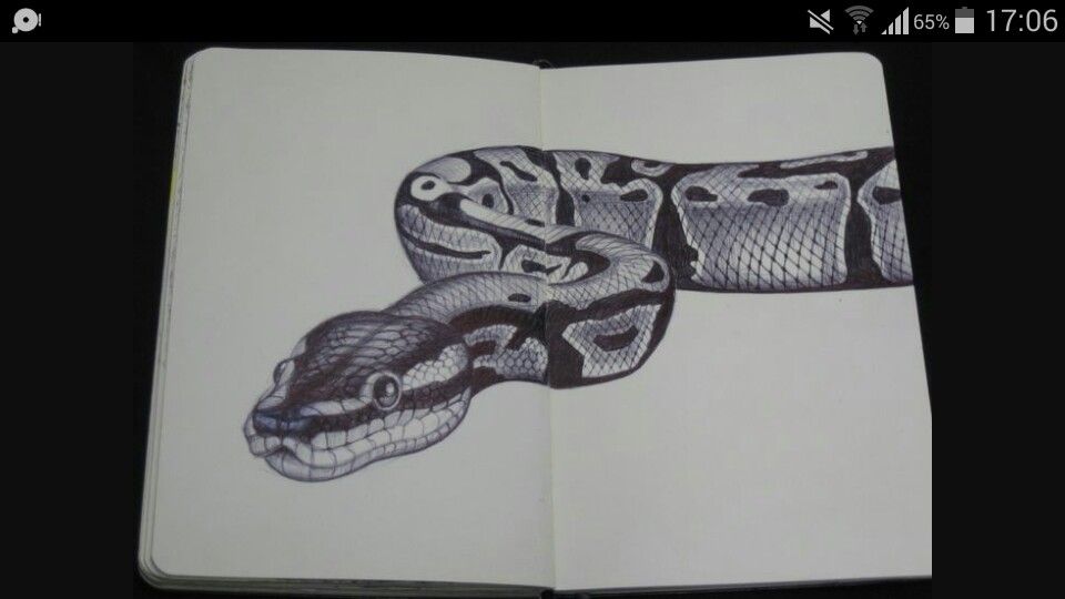 960x540 Realistic Snake Drawing - Realistic Snake Drawing