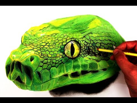 480x360 Drawing Snake - Realistic Snake Drawing