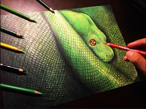 480x360 Drawing A Realistic Snake - Realistic Snake Drawing