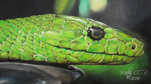 623x350 Drawing A Realistic Snake - Realistic Snake Drawing