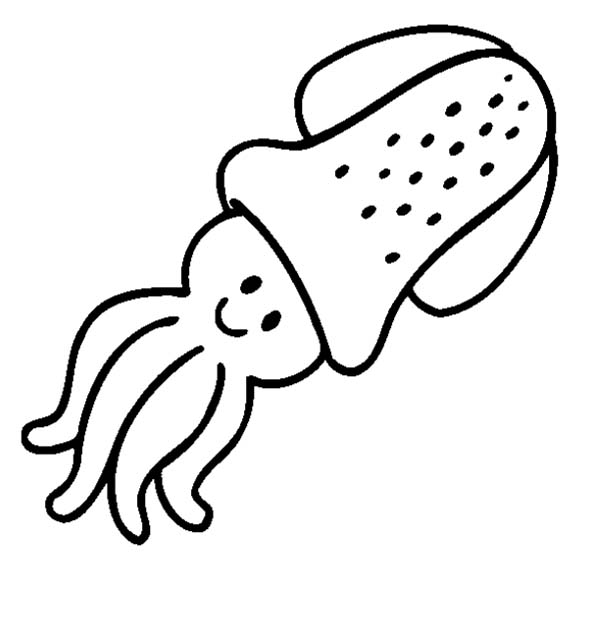 600x639 Realistic Clipart Squid - Realistic Squid Drawing