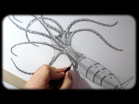 480x360 Robot Squid Wildlife Drawing - Realistic Squid Drawing
