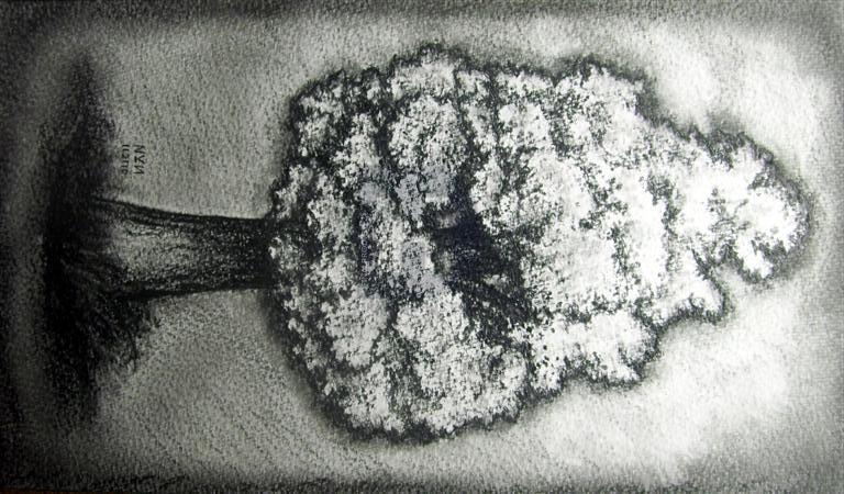 768x450 How To Draw A Realistic Tree, Draw Real Tree, Step - Realistic Tree Drawing