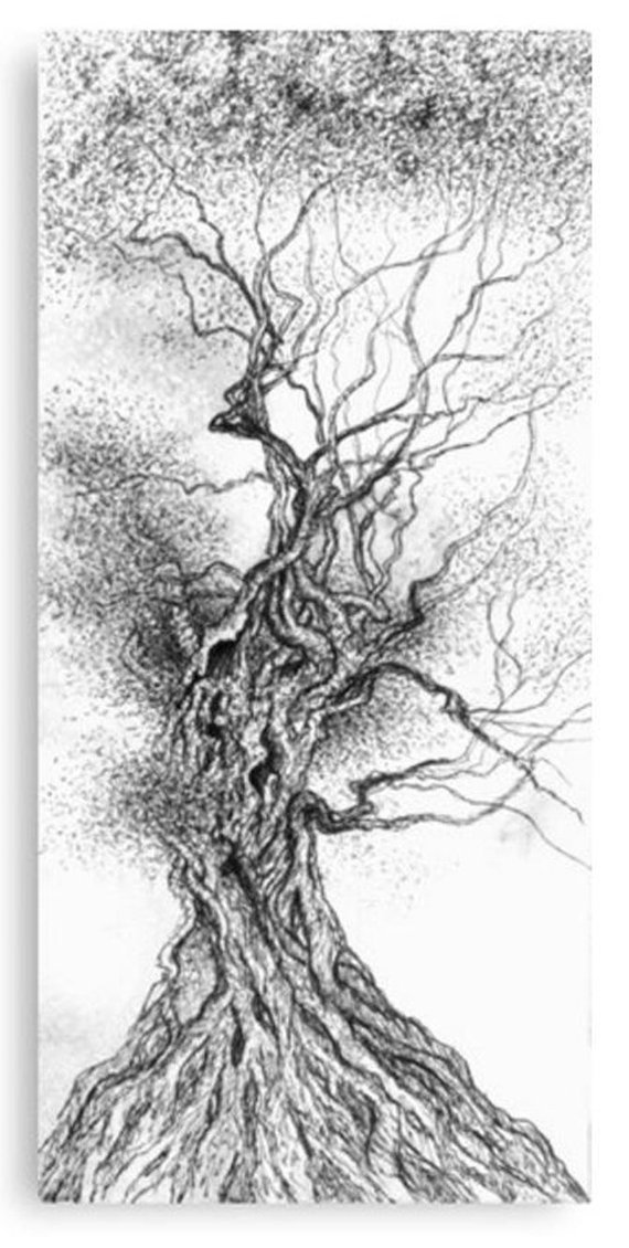 570x1130 Ink Drawing Realistic Tree Forest Illustration Landscape Hand Etsy - Realistic Tree Drawing