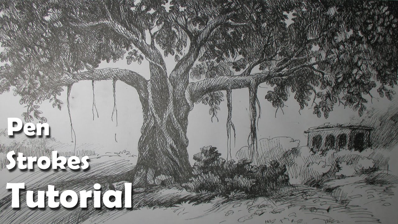 1280x720 Pen Ink Drawing Tutorial How To Draw A Realistic Tree Step - Realistic Tree Drawing